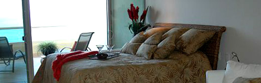 Neuvo Vallarta Condominium Rental